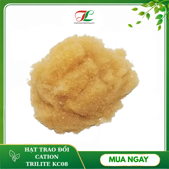 Hạt nhựa trao đổi cation trilite