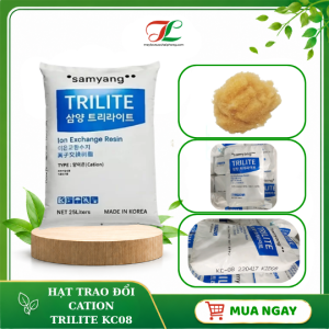 Hạt trao đổi Cation Trilite KC08