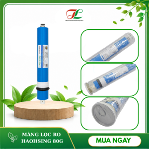 Màng lọc nước Haohsing ro 80g